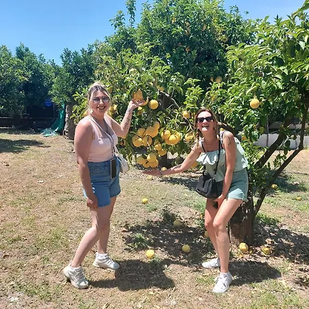 Appartamento Made In Napoli